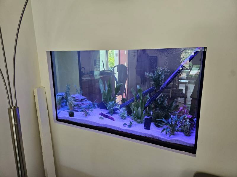 Rénovation d'un Aquarium à Saint Sulpice et Cameyrac par la société Greg Aqua services