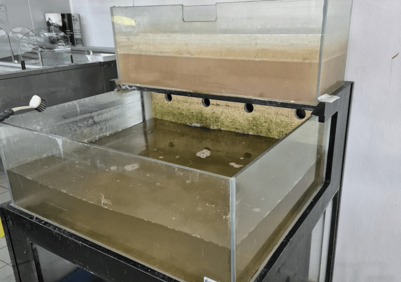 Réfection de viviers sur Arcachon