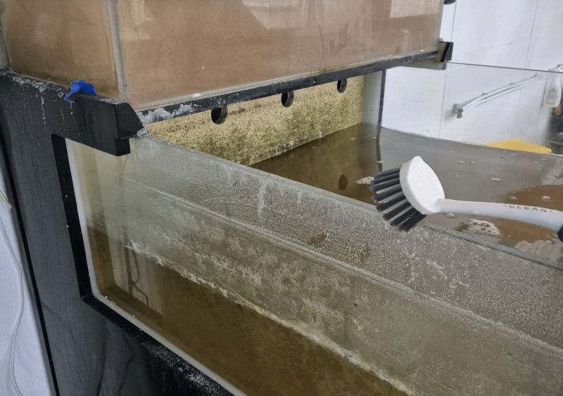 Réfection de viviers sur Arcachon