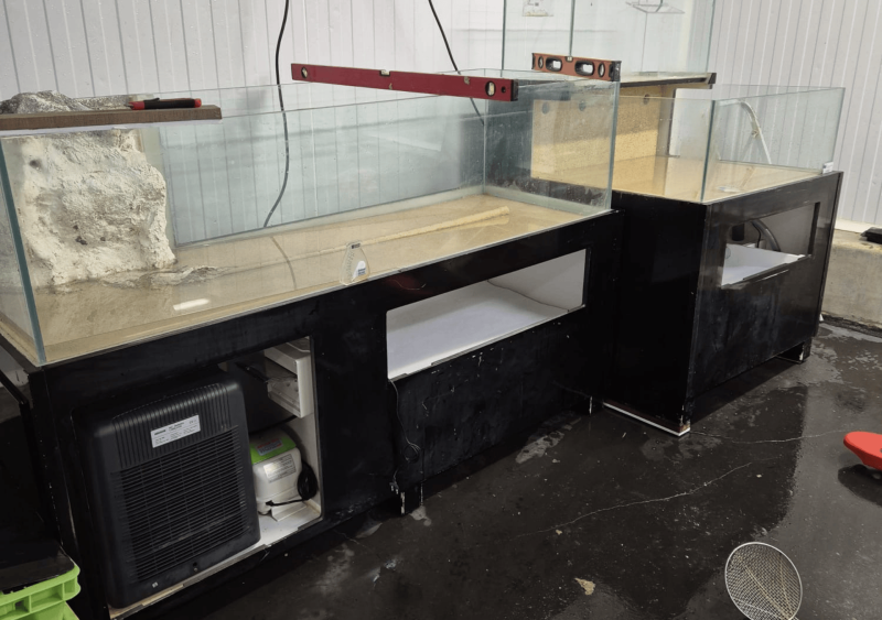 Réfection de viviers sur Arcachon