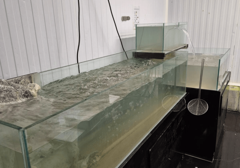 Réfection de viviers sur Arcachon