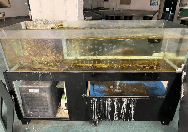 Réfection de viviers sur Arcachon