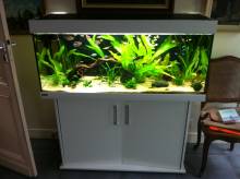 Notre zone d'activité pour ce service Construction bassin d'eau et cascade