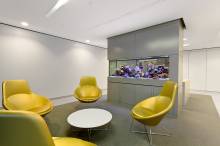 Nos prestations sur le secteur de Saint Emilion 33330