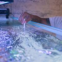 Notre zone d'activité pour ce service Magasin d'aquarium pour professionnel