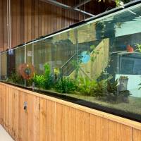 Nos prestations sur le secteur de à proximité du Bassin d'Arcachon (33)