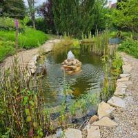 Notre zone d'activité pour ce service Création de paludarium sur mesure