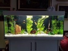 Notre zone d'activité pour ce service Prix entretien et nettoyage d'aquarium