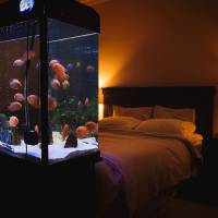 Nos prestations sur le secteur de à Bordeaux en Gironde