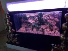 Nos prestations sur le secteur de à Libourne, Aquitaine