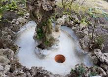 Notre zone d'activité pour ce service Prix entretien et nettoyage d'aquarium