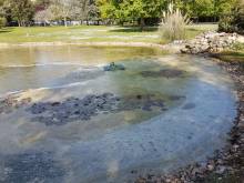 Notre zone d'activité pour ce service Prix aquarium grande taille en verre