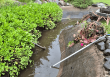 Nos prestations sur le secteur de Saint Emilion 33330