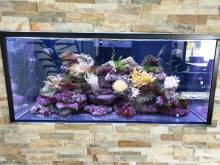 Nos prestations sur le secteur de à Castelnau-de-Médoc proche de Blaye