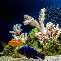 Nos prestations sur le secteur de à Libourne, Aquitaine