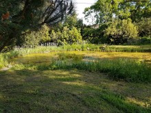 Nos prestations sur le secteur de Saint Emilion 33330