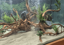 Notre zone d'activité pour ce service Bassin de jardin à débordement devis