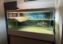 Nos prestations sur le secteur de à proximité du Bassin d'Arcachon (33)