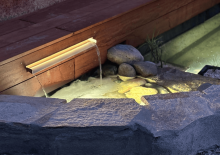 Notre zone d'activité pour ce service Service d'entretien et de nettoyage d'aquarium