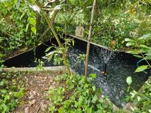 Nos prestations sur le secteur de à Castelnau-de-Médoc proche de Blaye