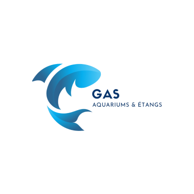 Nos prestations sur le secteur de Saint Emilion 33330