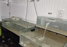 Nos prestations sur le secteur de à Libourne, Aquitaine